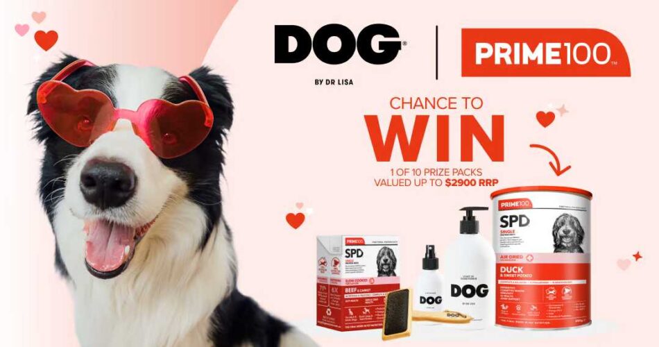 Prime100 x DOG by Dr Lisa Valentine's Day Giveaway