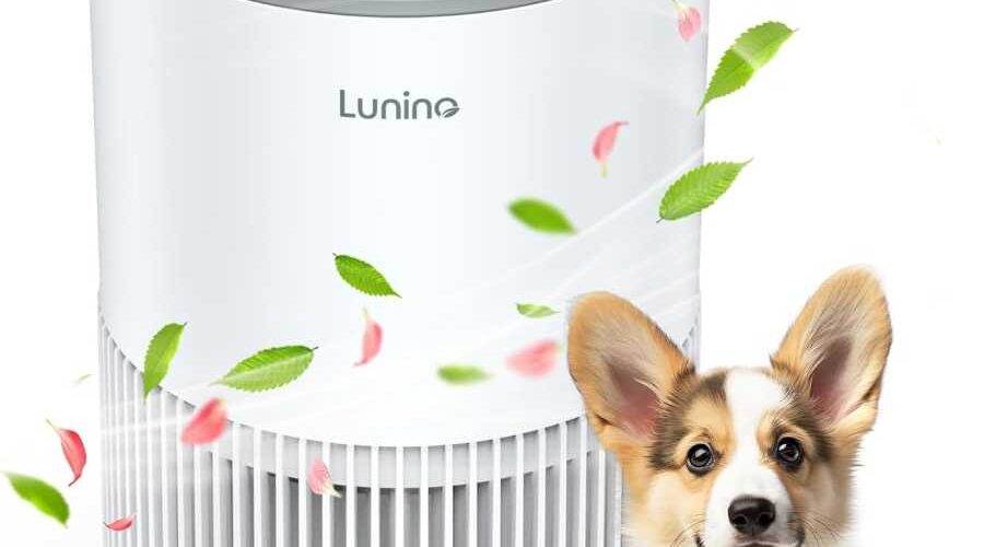 Win a Lunino Air Purifier - Valentine's Giveaway