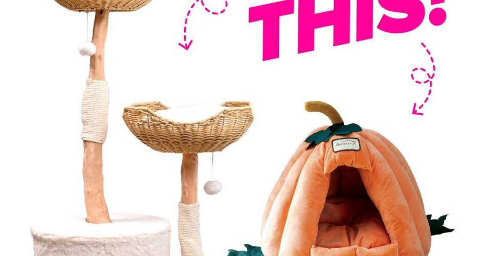 Win an Armarkat Amni Cat Tree!