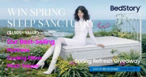 Win Spring Sleep Sanctuary